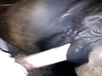 Man Fucking Horse Pussy Porn - Fucking Mare Till She Pisses GayBeast Rip - Man Fucks Animal - Extrem Sex  and Taboo Porn.