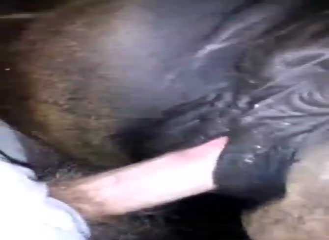 Man Fucks Mare Anal - Fuck A Tight Mare Pussy GayBeast.com - Man Fucks Pet- Beastiality Porn With  Boy - Extrem Sex and Taboo Porn.