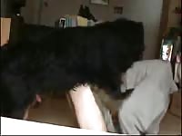 Fuck By Docg Gay Beast Com - Men Fucks Pet