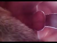 Fuck Knot And Creampie Gay Beast Com - Beastiality Porn With Dude