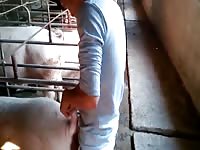 200px x 150px - Fuck Pig 4 GayBeast - Animal Porn Tube With Dude - Extrem Sex and ...