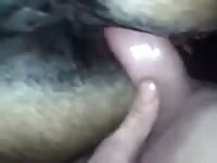 Fucking A Wet Mare Pussy GayBeast - Beastiality Men
