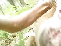 Fucking Deer In All Holes GayBeast.com - Man Fucks Animal