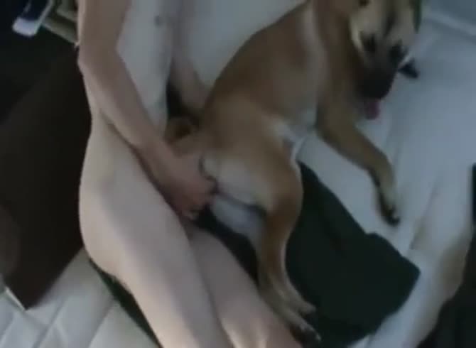 My Dog Porn - Fucking My Dogs Pussy Gay Beast Com - Dude Fucks Pet - Extrem Sex and Taboo  Porn.