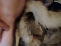 Fucking Ruby GayBeast Rip - Dude Fucks Animal