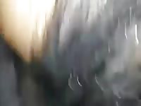 Fucking The Mare GayBeast - Animal Men