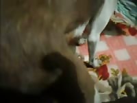Funnn GayBeast - Dude Fucks Animal