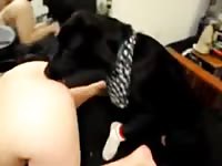 Funny Amateur Petsex Com - Animal Sex With Men