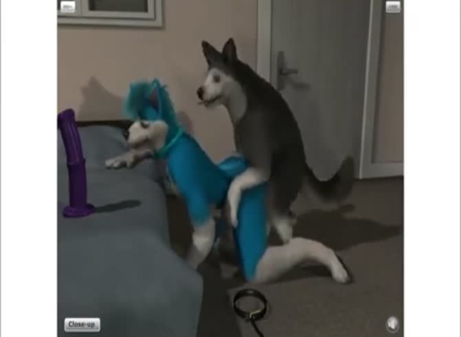dog furry gay porn