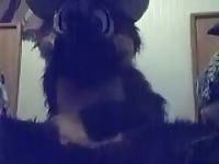 Fursuit Yiff GayBeast Rip - Beastiality Porn Video With Man