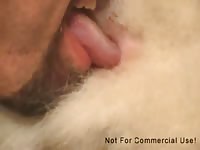 Fuzzybutt Love GayBeast.com - Zoophilia Sex With Boy