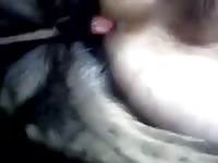 Gay 5 GayBeast Rip - Beastiality Dude