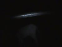 Gay Fuck GayBeast.com - boy Fucks Pet