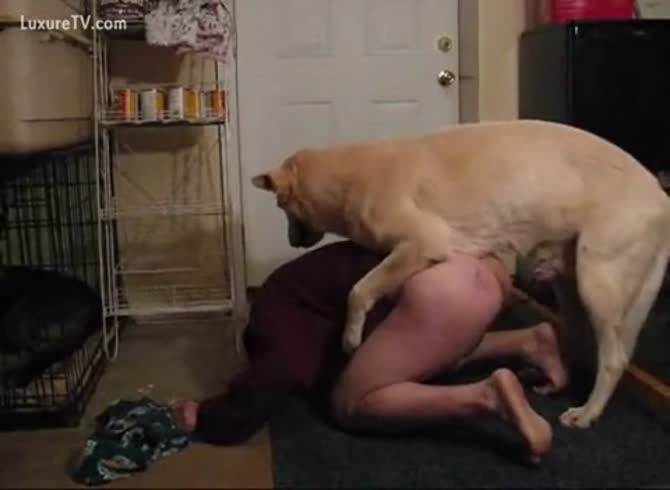 Getting fucked by my dog gay Gay Fucked Hard By His Dog Extrem Sex And Taboo Porn