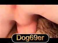 GayBeast.com Bang Fem Dog And Cum Gay Zoo Porn Petlust Men Fuck Animals- Beastiality Man