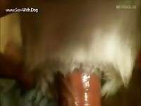 GayBeast Rip Bathtime Husky Fun 4 - Animal Men- Man Fucks Pet