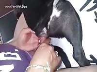 Gay Beast Com Dog And Man - Beastiality Sex Movie With Boy- Animal Porn With Men