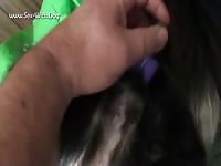 GayBeast Rip Dog Vibrator - Beastiality Man- Bestiality Porn With Boy