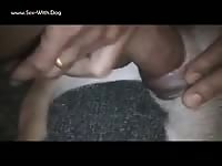 GayBeast.com Female Dog 4 - Bestiality Sex Video With Man- Beastiality Sex With Boy