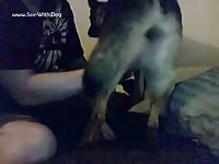 GayBeast.com Finger Play - Zoophilia Dude