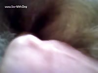 GayBeast Rip Fingering My Girl 2 - boy Fucks Pet- Beastiality Men