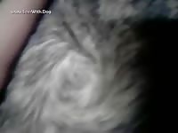 Gay Beast Com Fingering - boy Fucks Pet