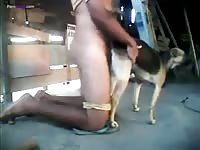 GayBeast Fuck That Bitch