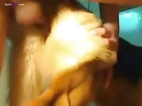 GayBeast Rip German Shepard Fun 1