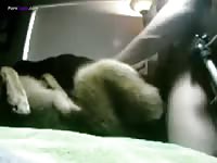 GayBeast Loving2 - Extrem Sex and Taboo Porn. - ApornTV