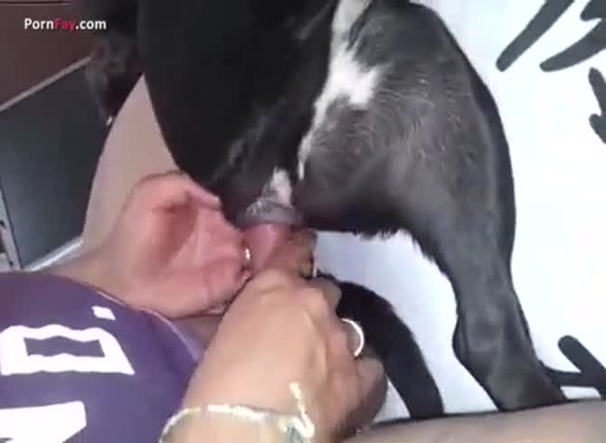  Men And Animals Dog And Man - Men Fucks Pet - Extrem Sex and  Taboo Porn.