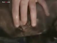GayBeast Men And Animals Fingering 1310 - Beastiality Porn Tube With Man