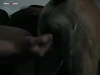 Gay Beast Com Men And Animals Fingering And 1795ing A 2932 1310 - Dude Fucks Pet