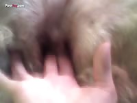 GayBeast.com Men And Animals Fingering My Girl 3 - Bestiality Porn Video With Man