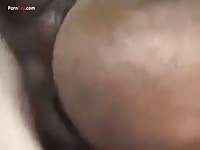 Gay Beast Com Men And Animals Great Mare - Bestiality Sex With Man