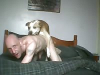 2 Dogs 1 Guy GayBeast Rip - boy Fucks Animal