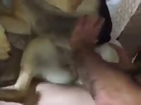 2 Guys Fuck German Shepherd Gay Beast Com - boy Fucks Animal