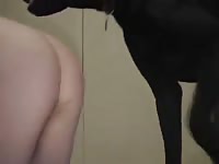 4764 GayBeast Rip - Animal Dude
