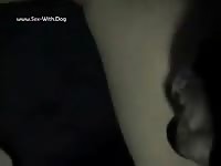 A Dog Tongue Bath Danno Clip 3