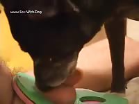 A Good Licking Tricky Dick Cleaning Up