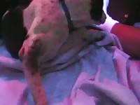 Adm Mutt1 Lickingme