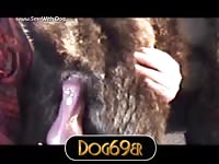 Akita Takes A Werewolf Cock Vid Dog69er Akita Akitatakesthewerewolf