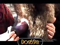 Akita Takes The Werewolf GayBeast.com - Zoophilia Sex Video With Boy