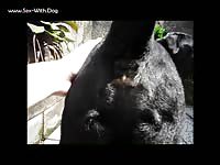 Aluzky Giving Rimjob 1 Aluzky Home Made Videos Dog Lover German Shepherd- Animal Dude