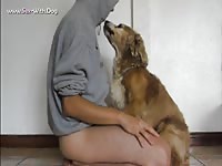 Aluzky Hcock Knotted Kissing Aluzky Home Made Videos Dog Lover German Shepherd- Dude Fucks Pet
