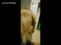 Aluzky Hcock Lickjob Aluzky Home Made Videos Dog Lover German Shepherd- Bestiality Man
