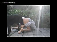 Aluzky Knotted Unknotted 2 Aluzky Home Made Videos Dog Lover German Shepherd- Beastiality Boy - Extrem Sex and Taboo Porn.