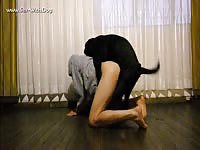Aluzky Knotted Unknotted 3 Aluzky Home Made Videos Dog Lover German Shepherd- Man Fucks Pet - Extrem Sex and Taboo Porn. 