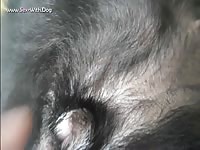 dog sex cum tube dog sex cum tube