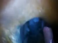 Anal And Creampie GayBeast.com - Beastiality Sex Tube With Dude