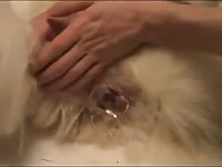 Anal Toying Gay Beast Com - Animal Sex Tube With Men